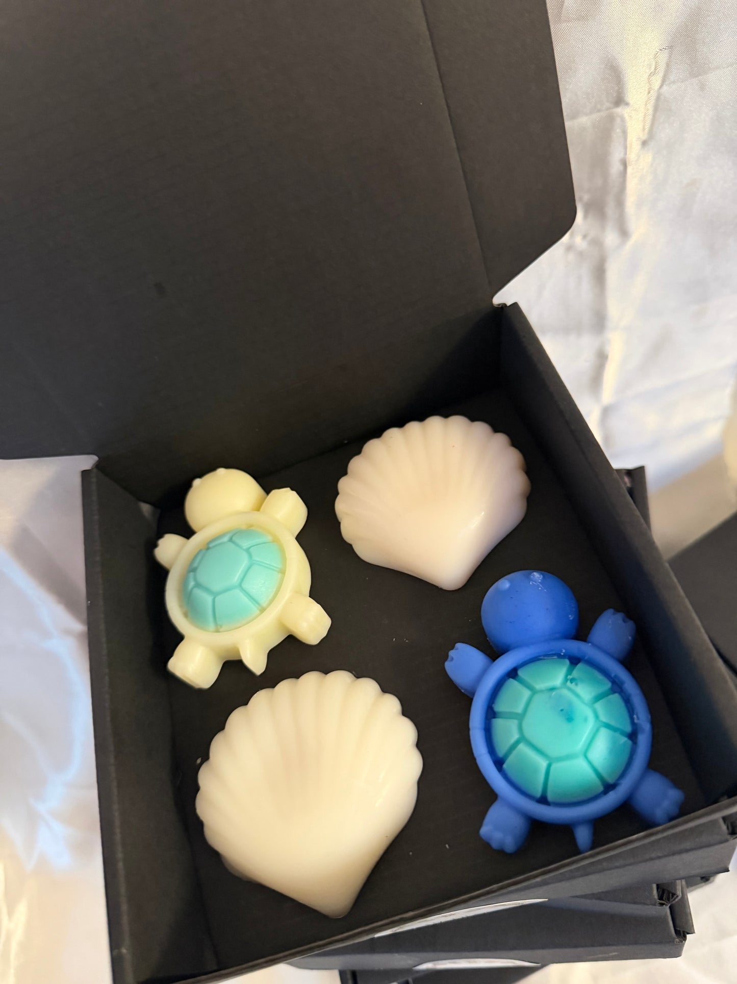 Coffret l’été à bora bora