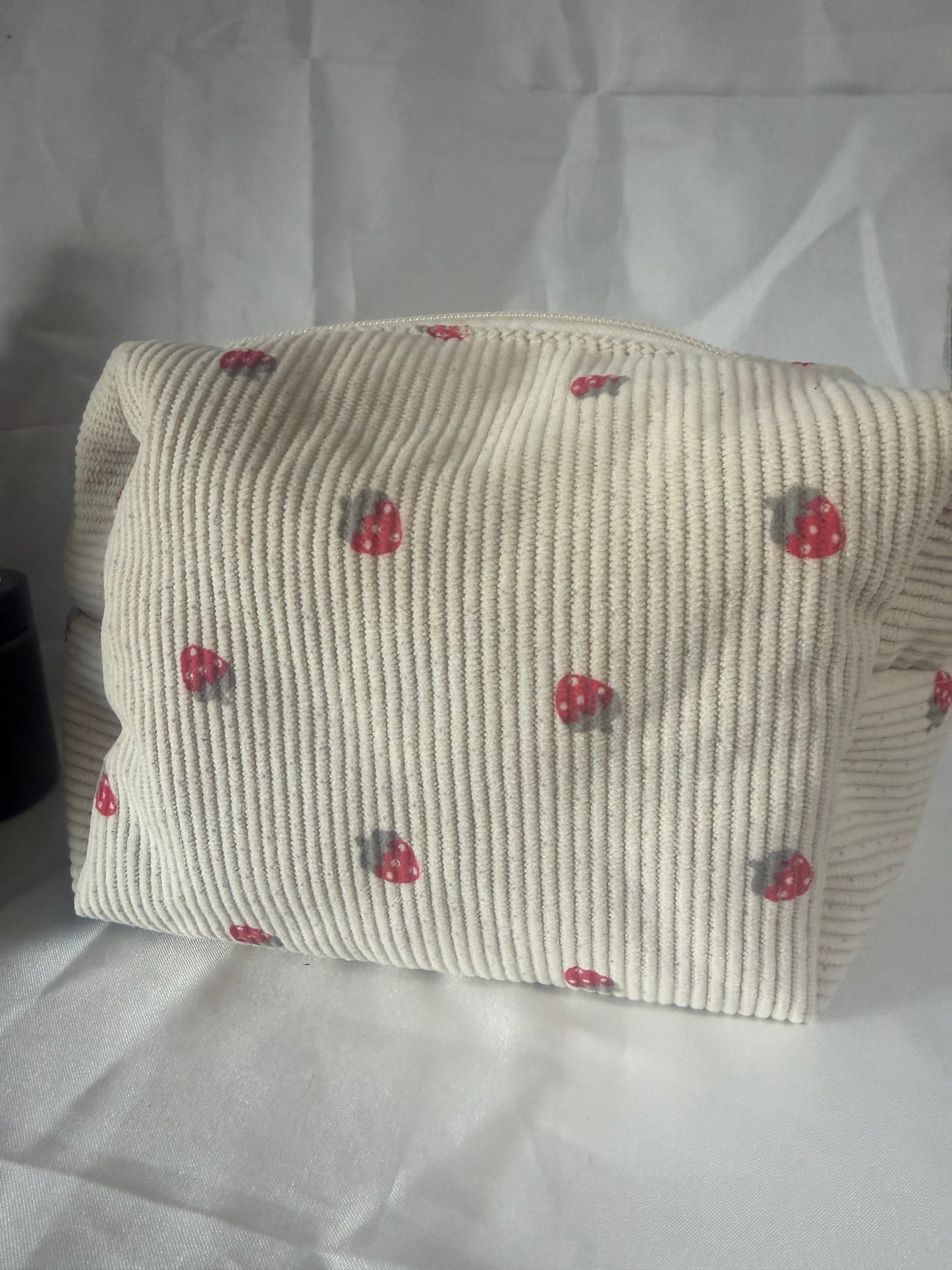 Trousse de voyage