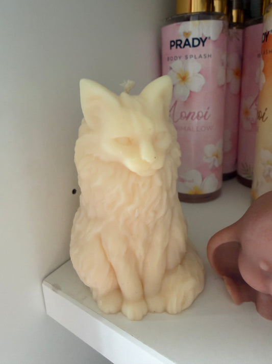 Chat