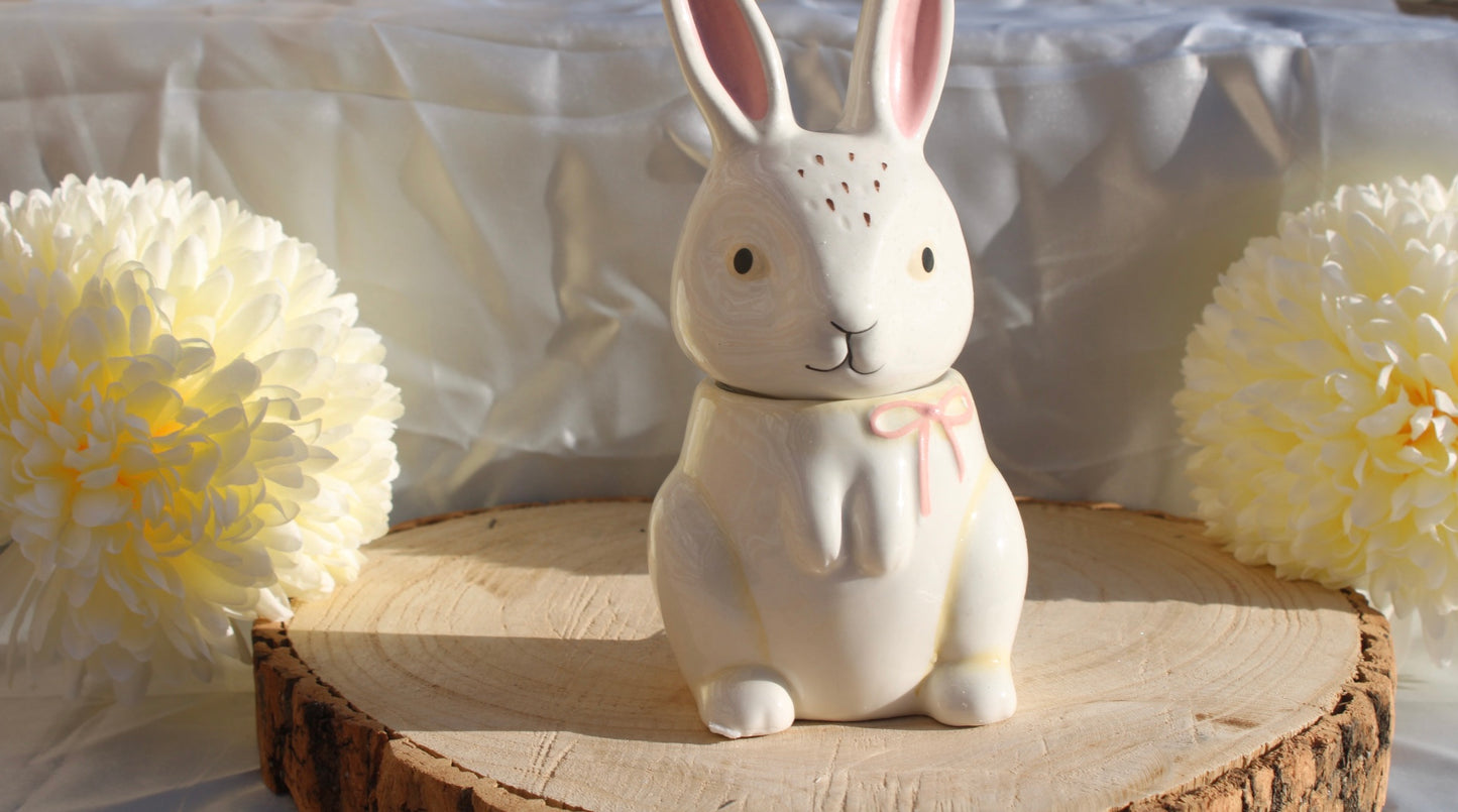 Lapin douceur