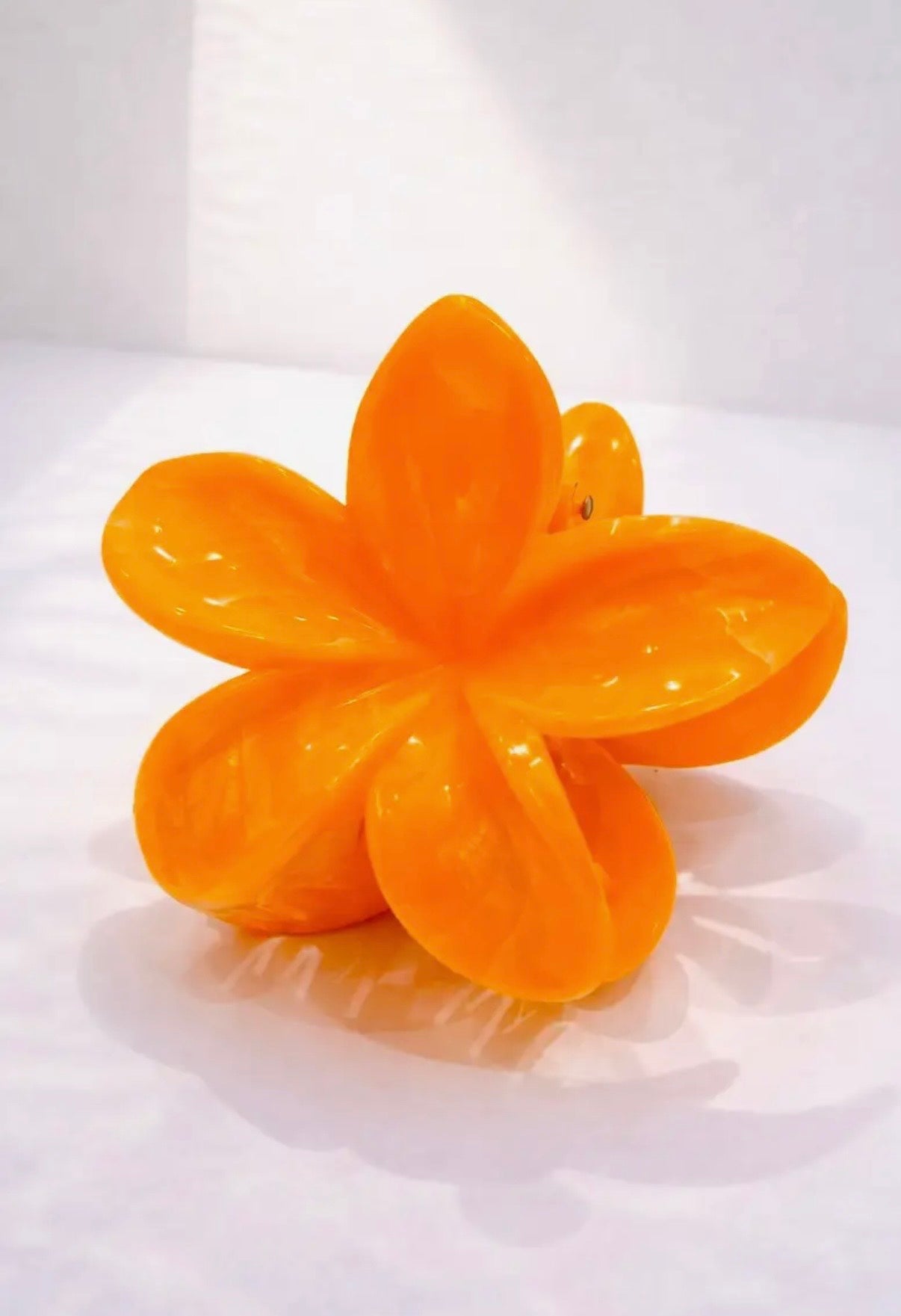 Pince à cheveux