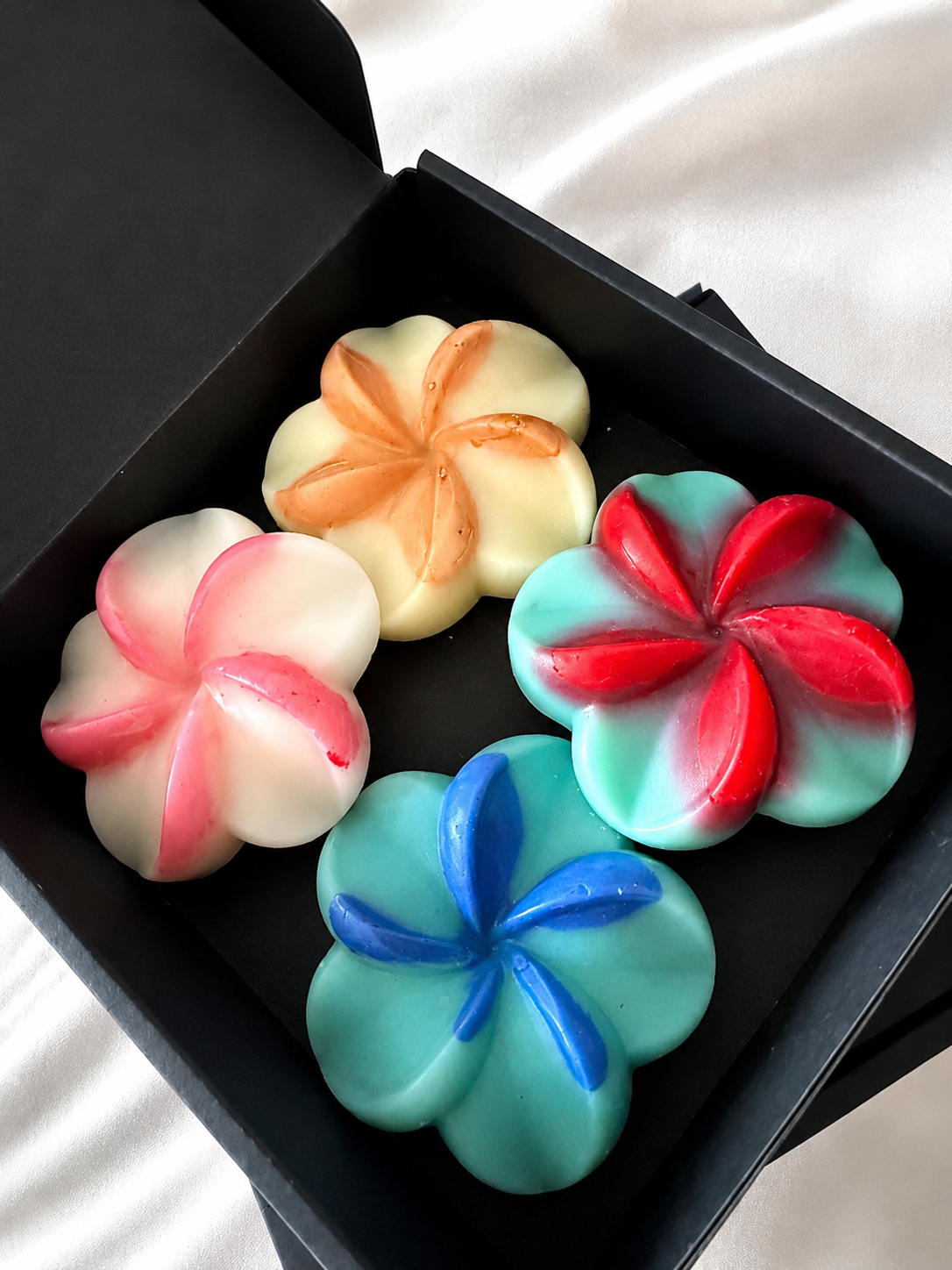Coffret sous les tropiques