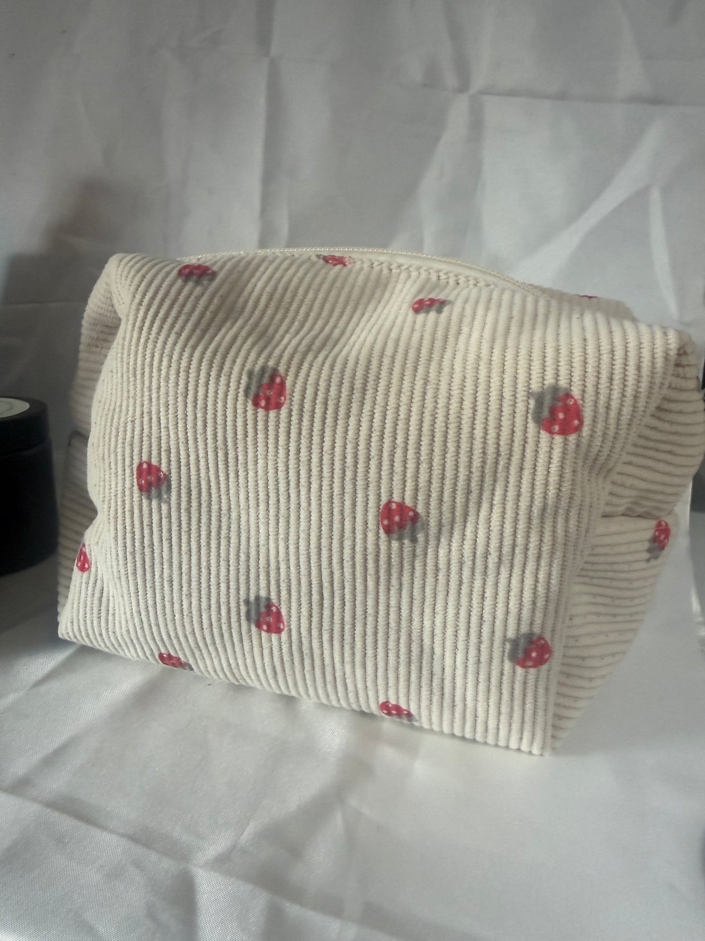 Trousse de voyage